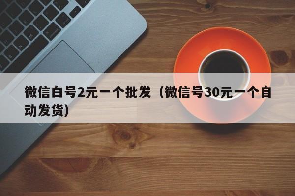 微信白号2元一个批发（微信号30元一个自动发货）