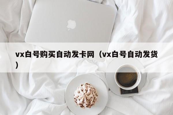 vx白号购买自动发卡网（vx白号自动发货）