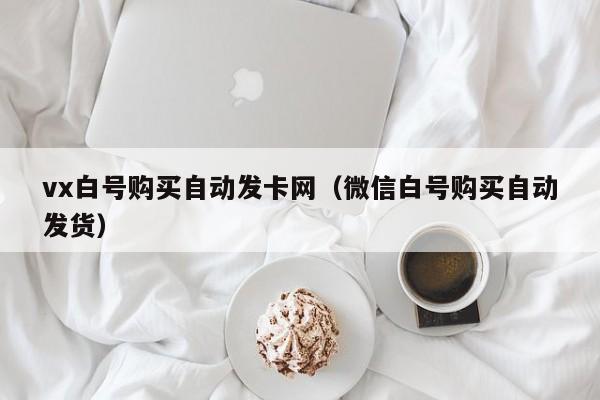 vx白号购买自动发卡网（微信白号购买自动发货）