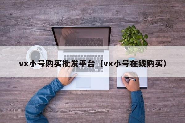 vx小号购买批发平台（vx小号在线购买）