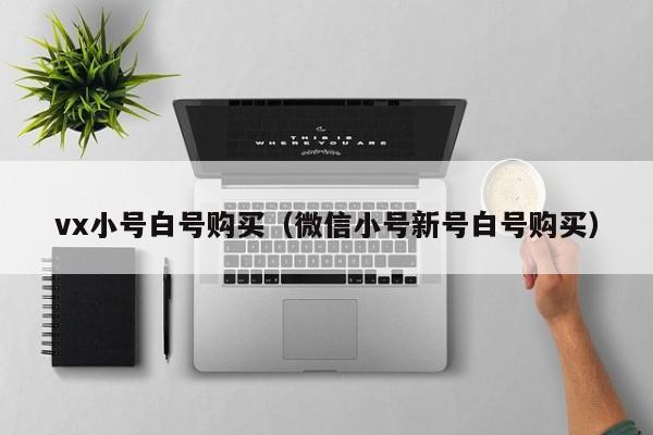 vx小号白号购买（微信小号新号白号购买）