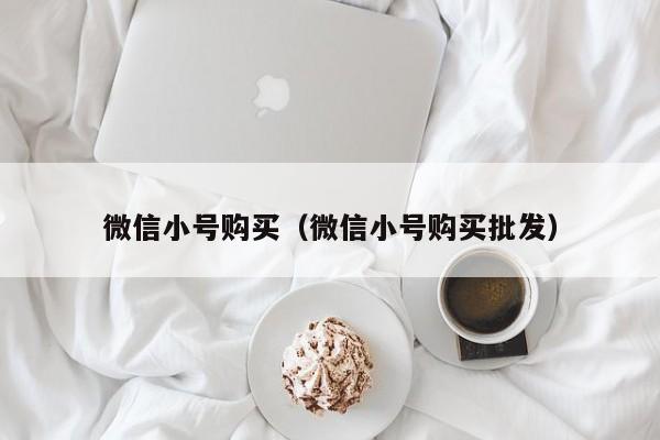 微信小号购买（微信小号购买批发）