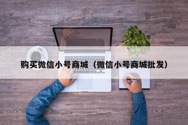 购买微信小号商城（微信小号商城批发）