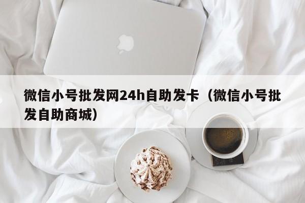 微信小号批发网24h自助发卡（微信小号批发自助商城）