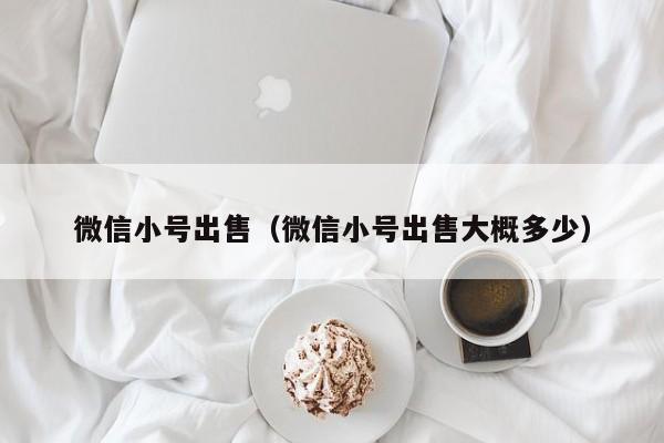 微信小号出售（微信小号出售大概多少）