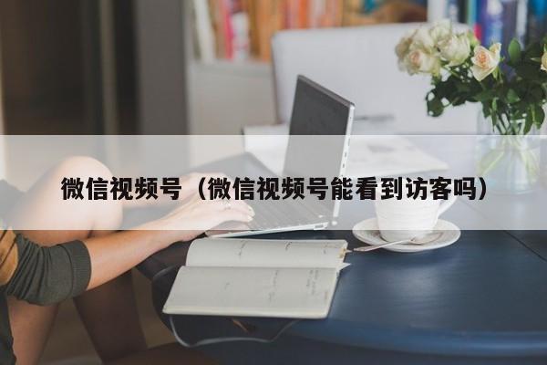 微信视频号（微信视频号能看到访客吗）