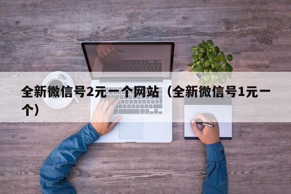 全新微信号2元一个网站（全新微信号1元一个）