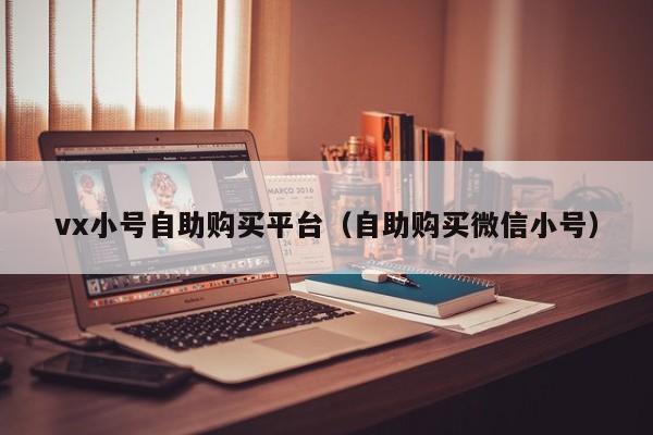 vx小号自助购买平台（自助购买微信小号）