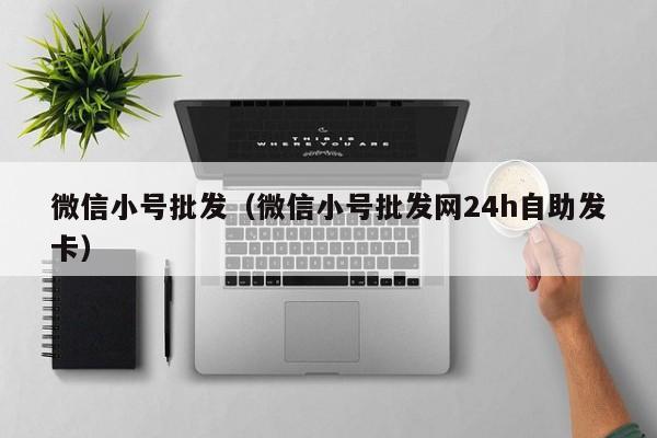 微信小号批发（微信小号批发网24h自助发卡）