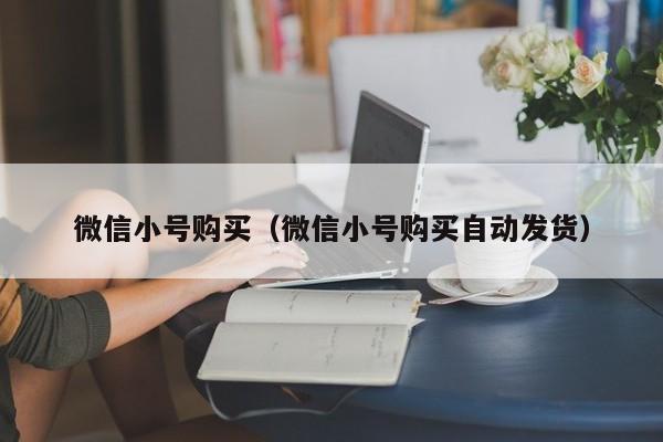 微信小号购买（微信小号购买自动发货）