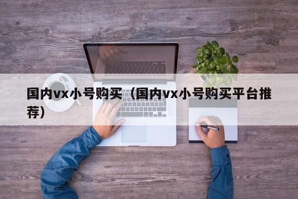 国内vx小号购买（国内vx小号购买平台推荐）