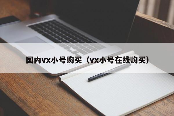 国内vx小号购买（vx小号在线购买）