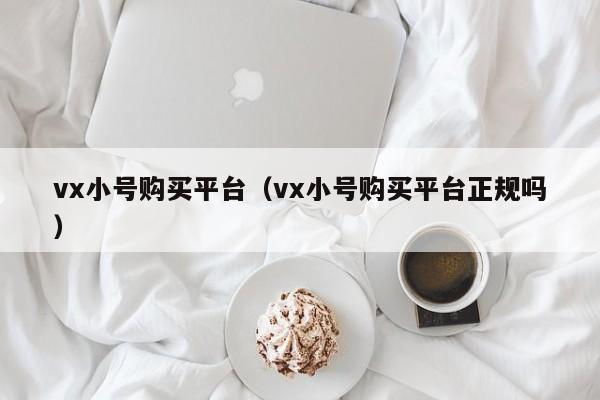 vx小号购买平台（vx小号购买平台正规吗）