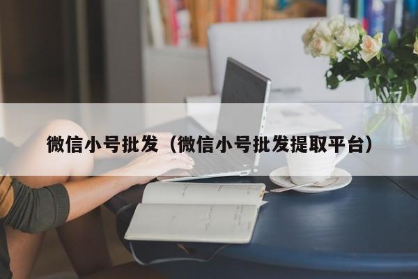 微信小号批发（微信小号批发提取平台）