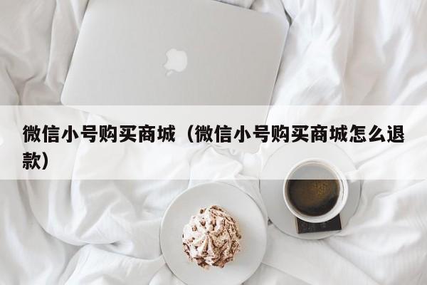 微信小号购买商城（微信小号购买商城怎么退款）