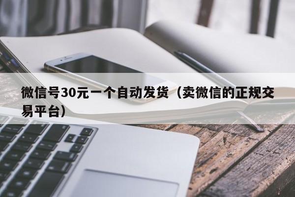 微信号30元一个自动发货（卖微信的正规交易平台）